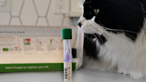 black and white cat next to the basepaws dna kit