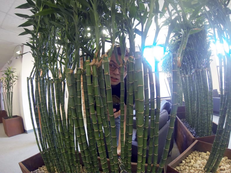 Spy on yourself as you spy on your co-workers!