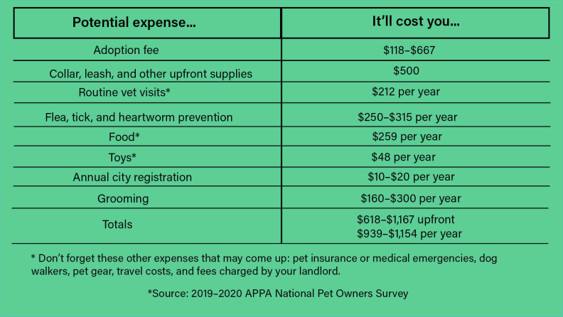 monthly cost of a dog