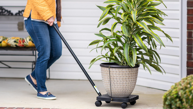 Woman pushing a plant on the butterfly mover