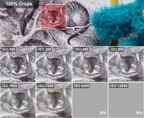 The SX700 HS does well at ISO 100 and 200, but from ISO 400 and beyond fine detail is wiped away by the camera's noise reduction system.