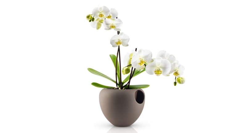Eva Solo orchid pot