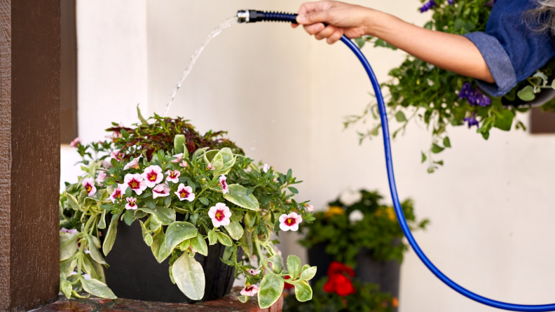 Watering plants.