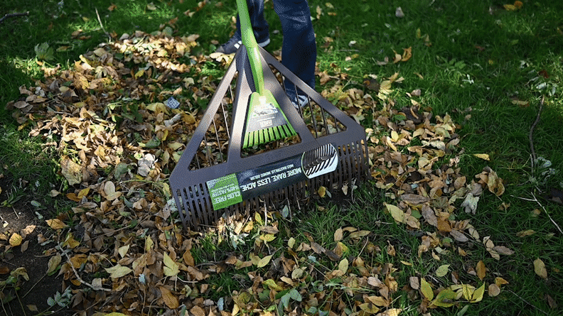 The Ames Dual Tine Combo Rake does an excellent job of not getting clogged with leaves.