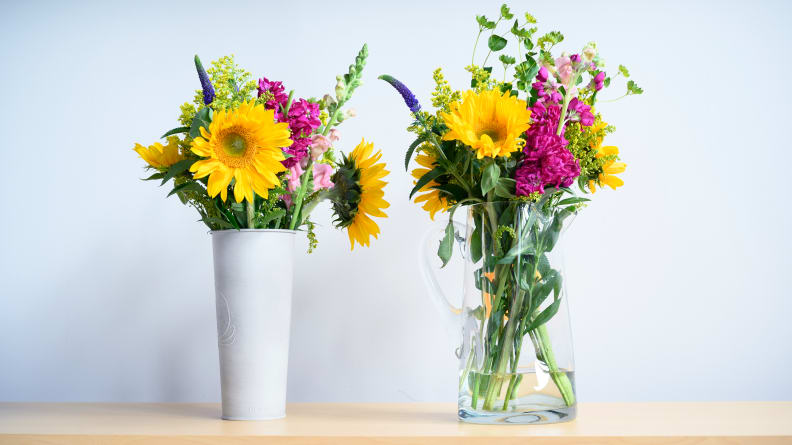 Can a pinch of baking soda help cut flowers stay alive perky longer? The flowers on the left have a pinch of baking soda and a pinch of salt in the water, the flowers on the left do not.