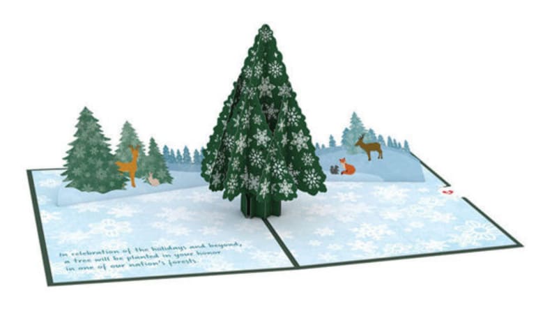 A pop-up book with a Christmas tree page.
