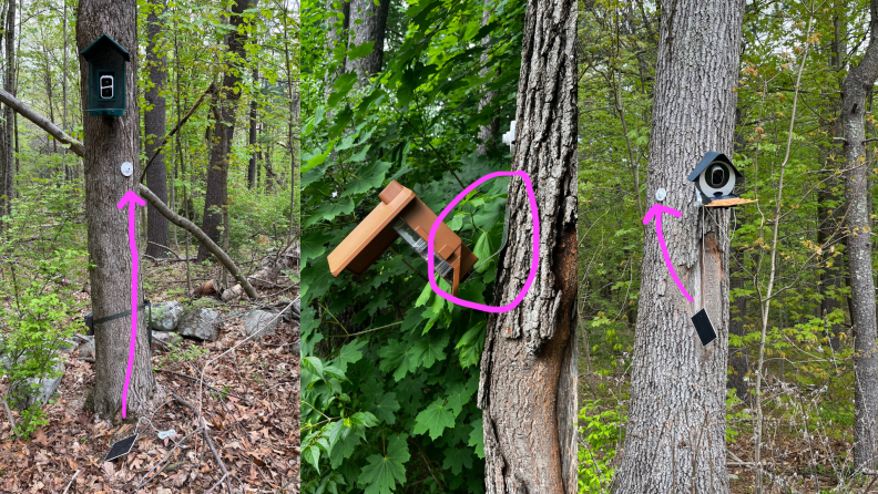 three smart birdfeeders attached to trees in the woods show damage