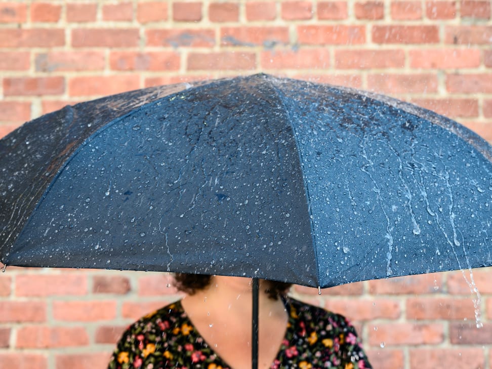 Best inverted cheap umbrella reviews