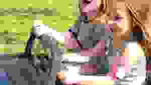 Closeup of children driving the buggy