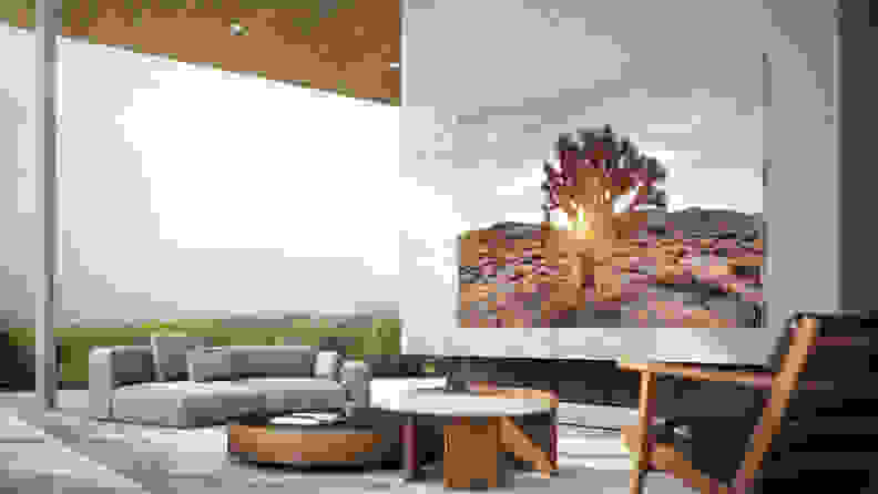 一个modern outdoor living room with a huge Samsung TV hanging on the wall. On the giant screen is a Joshua tree, photographed in the Mojave Desert.