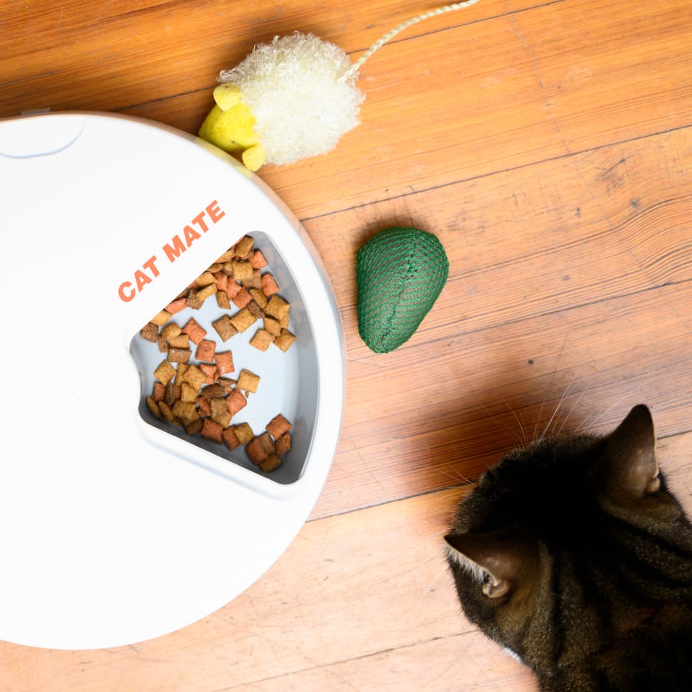 Why I love the Cat Mate C500 automatic pet feeder - Reviewed