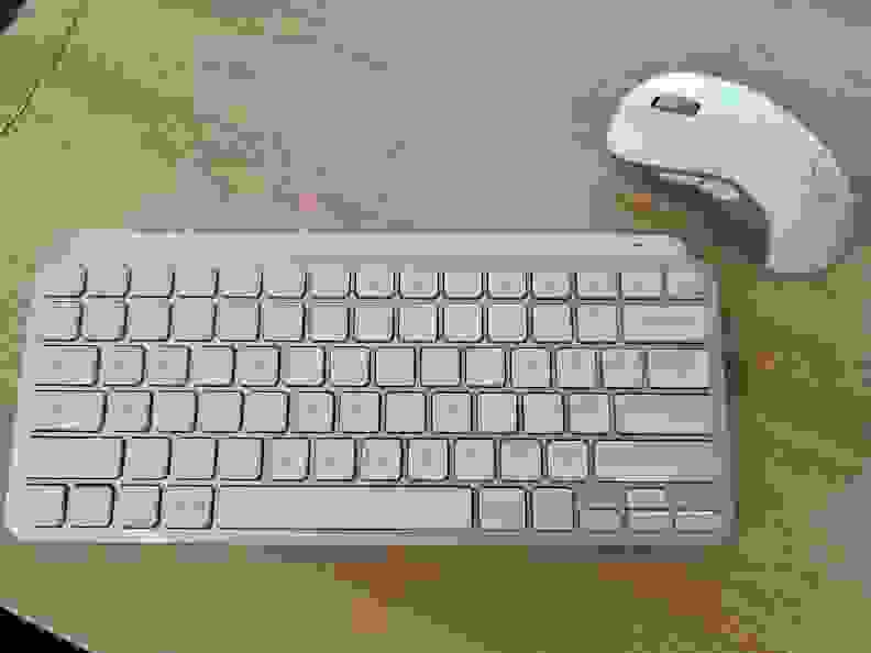 A computer keyboard next to a computer mouse.