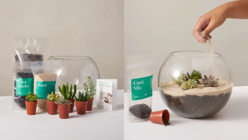 DIY Terrarium