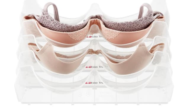 Boobie-trap-bra-organizer