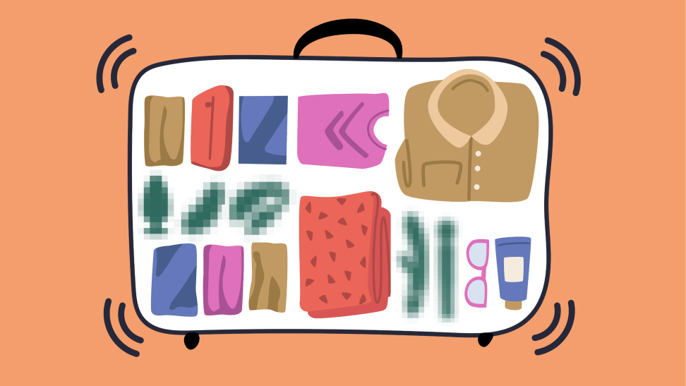 Cartoon graphic of suitcase with clothes, travel items and assorted sex toys blurred out.