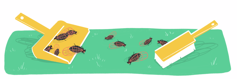 Illustration of deceased cicadas in the yard being cleaned up by a dust pan