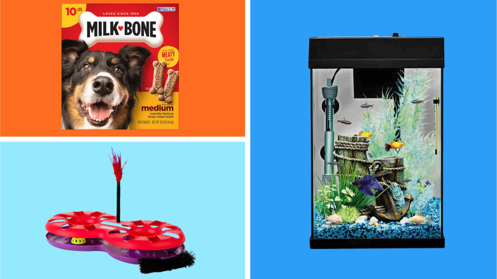 A collection of on sale pet items in front of colored backgrounds.