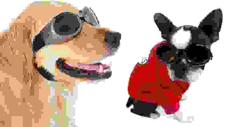 doggles