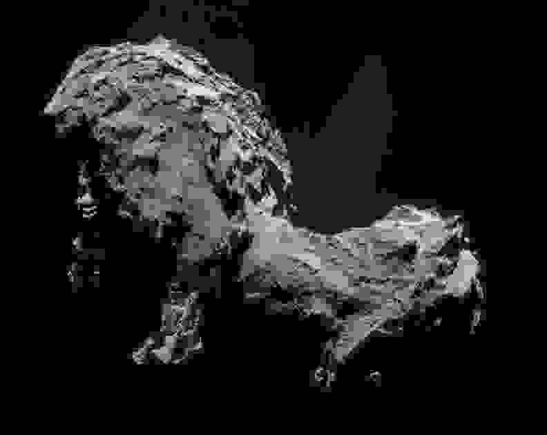 Rosetta Comet Portrait