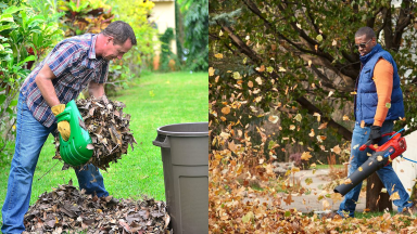 Picking up leaves with the Gardease leaf scoop and Toro leaf blower