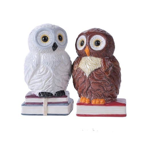 These salt and pepper shakers are a hoot.