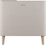 Product image of Coway Airmega Icon