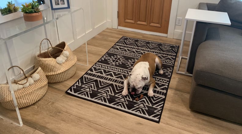 Ruggable Review Is This Waterproof, Best Rugs For Entryway With Dogs