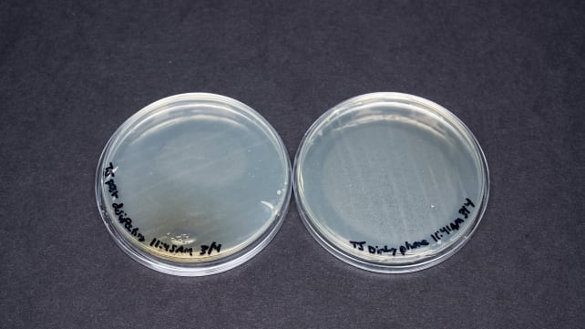 Disinfecting_solution_experiment_2