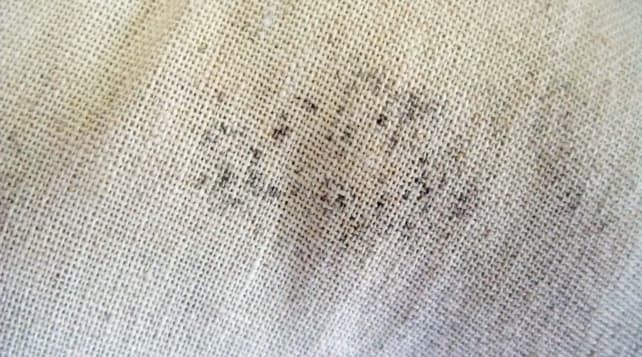Mold collects on fabrics and strollers are no exception.