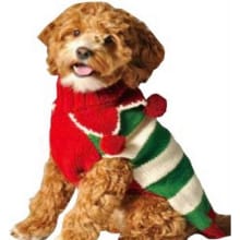 Product image of Chilly Dog Christmas Elf Dog Sweater