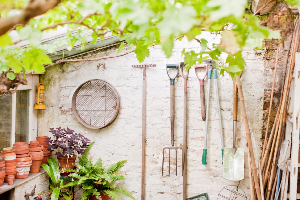 Tools hanging on a wall of garden shed