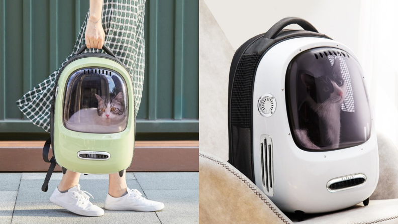 (Left) A cat is carried in a green cat backpack. (Right) A cat sits inside a white cat backpack.