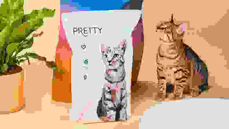 An image of a cat staring up at a bag of Pretty Litter.
