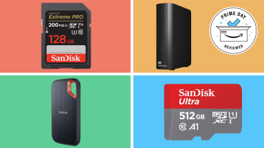 A SanDisk SD card and microSD card next to a portal SSD and a black Western Digital drive