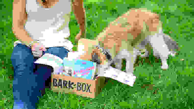 A woman and a dog in a park with a BarkBox