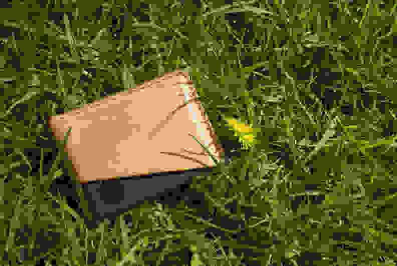 A wallet laying on green grass