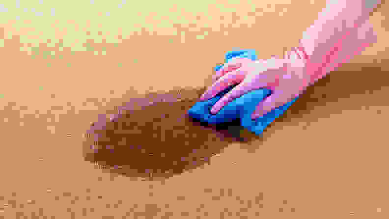 Person with pink gloves blotting a large red stain with a blue washcloth