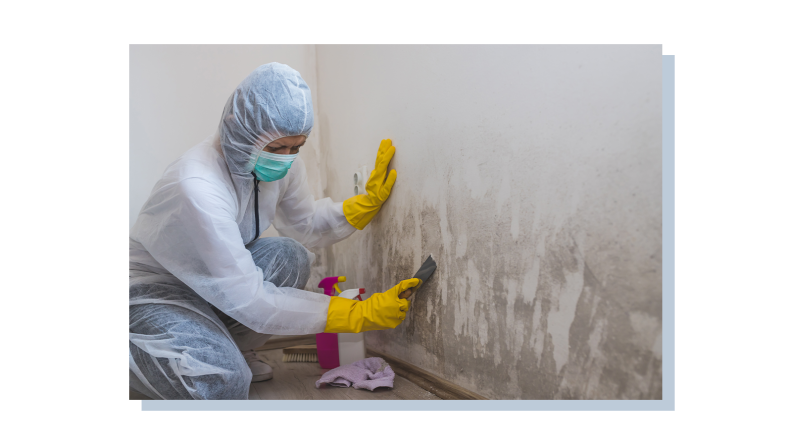 A professional in a full-body protective suit scraping off mold from the walls.