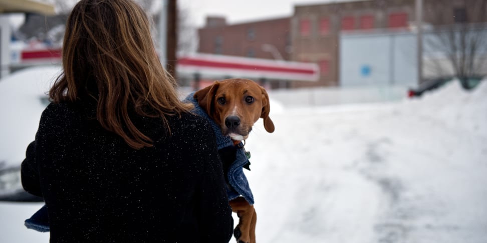 A woman holds a dog during Winter Storm Juno in Somerville, MA.