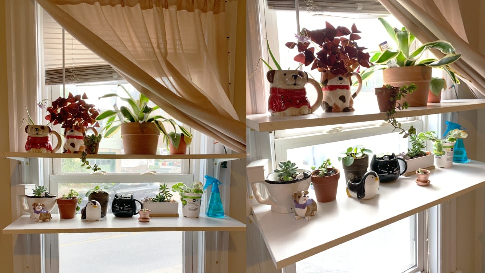 Build Indoor Window Shelves For Plants, How To Build Window Shelves For Plants