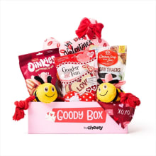 Product image of Goody Box Valentine's Dog Toys Treats
