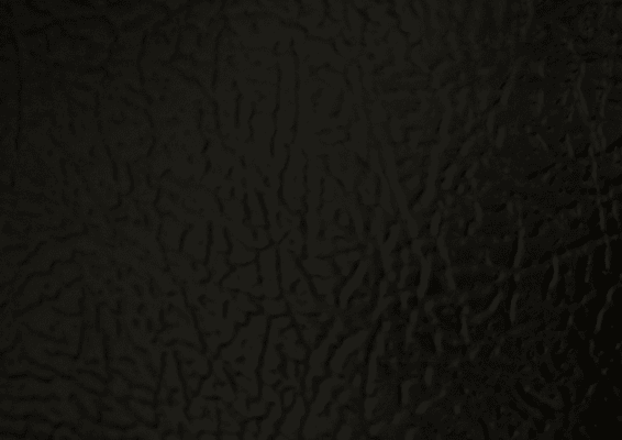Fingerprints Photo