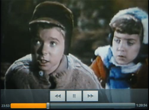 Video Controls Image