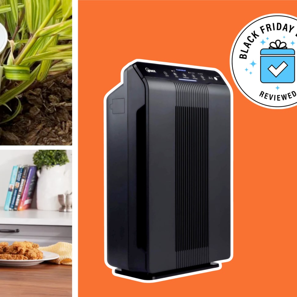 Black friday air shop purifier