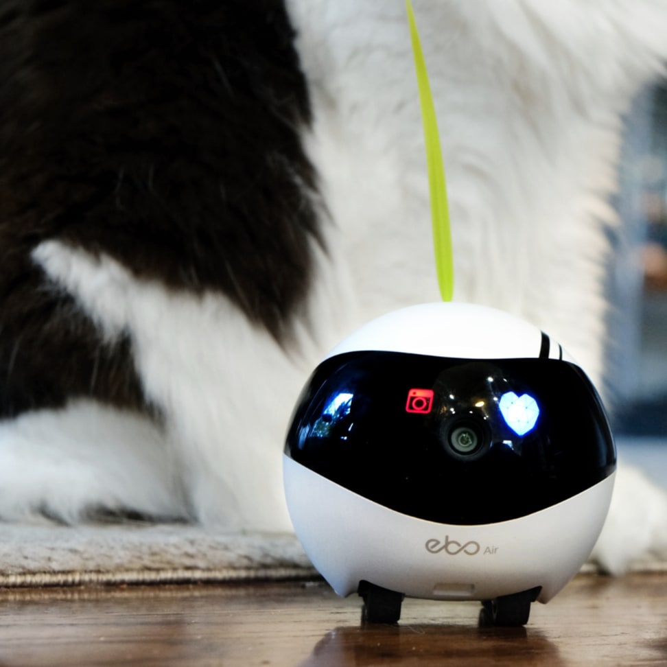 EBO ROBOT, EBO ENABOT, EBO Smart Robot for Pretty Cat, Awesome Cat Robot