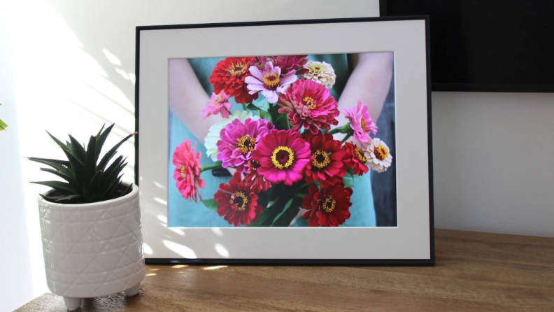 The Aura Walden Frame displaying a photograph of bright pink and red flowers.