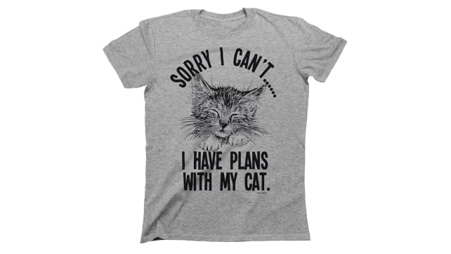 Buzz Shirts Cat Plans Shirt