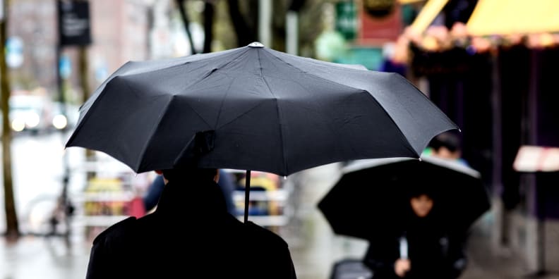 Davek Solo Umbrella