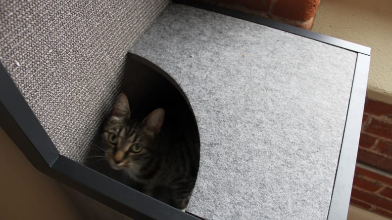 There's only one small thing I don't love about this cat tower.