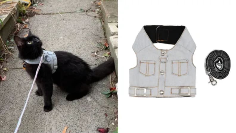 An image of a cat wearing the vest harness alongside a flatlay of the same harness.